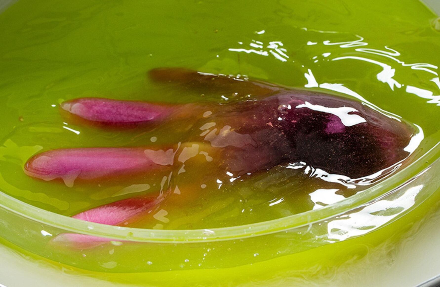 Recipe of the Day: Halloween Punch Bowl